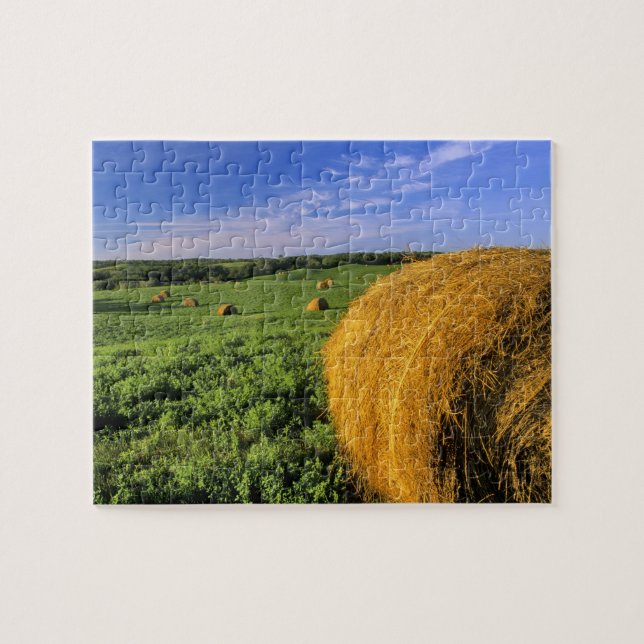 Hay Bales near Bottineau North Dakota Jigsaw Puzzle (Horizontal)