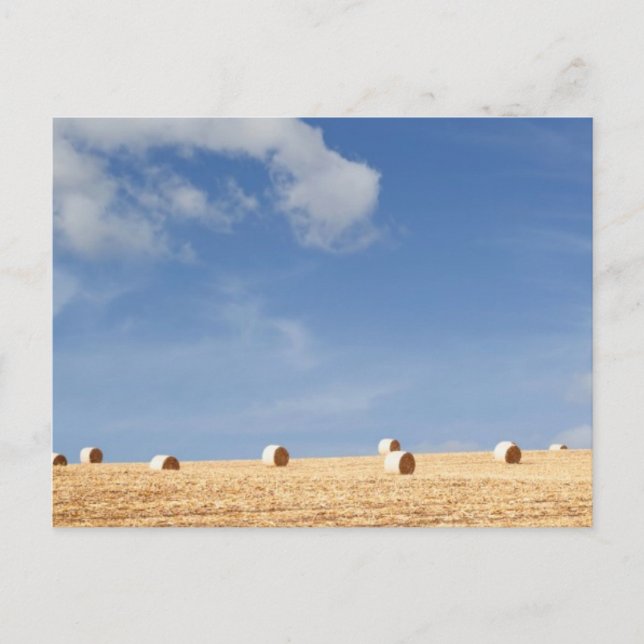 Hay Bales on Field Postcard (Front)