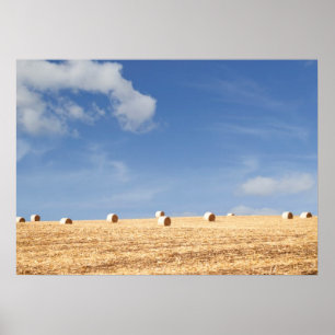 Hay Bales on Field Poster