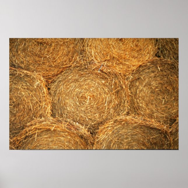 Hay balls poster (Front)