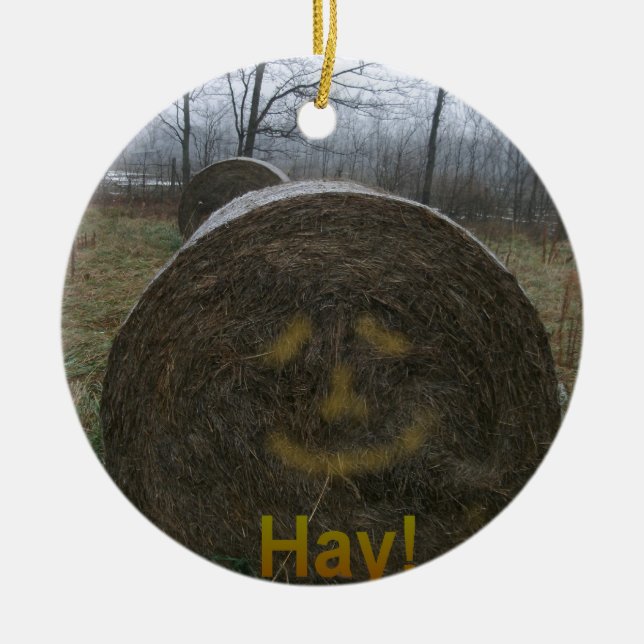 Hay! Ceramic Tree Decoration (Front)