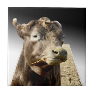 Hay Day: A Brown Cow’s Munching Moment in Pop-Out Tile