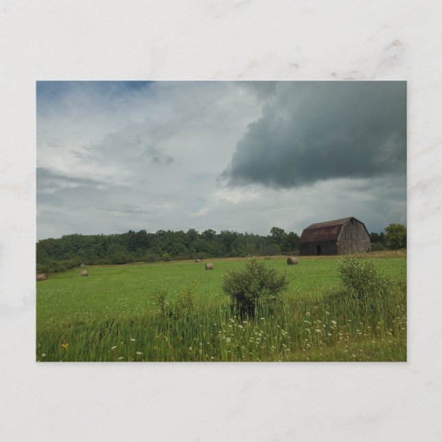 Hay field postcard (Front)