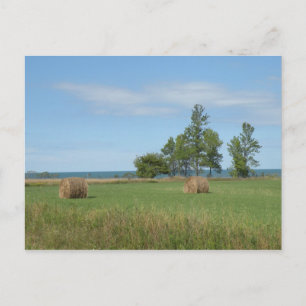 Hay Field postcard