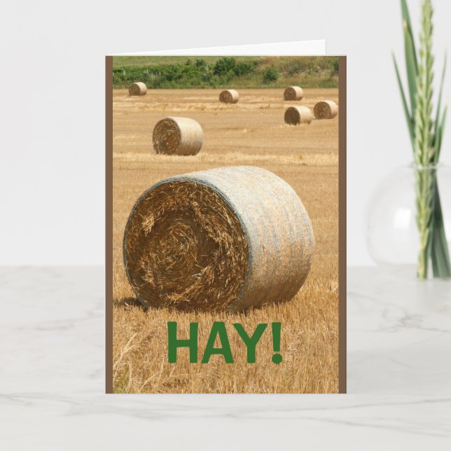HAY! Happy Anniversary Card (Front)