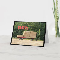 Hay! Happy Birthday