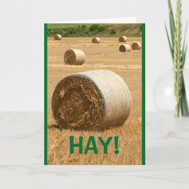 HAY! Merry Christmas Card (Front)