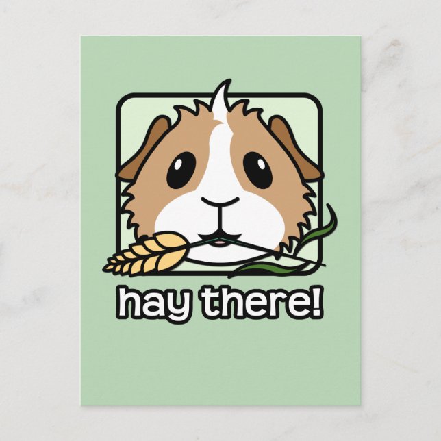 Hay There! (Guinea Pig) Postcard (Front)