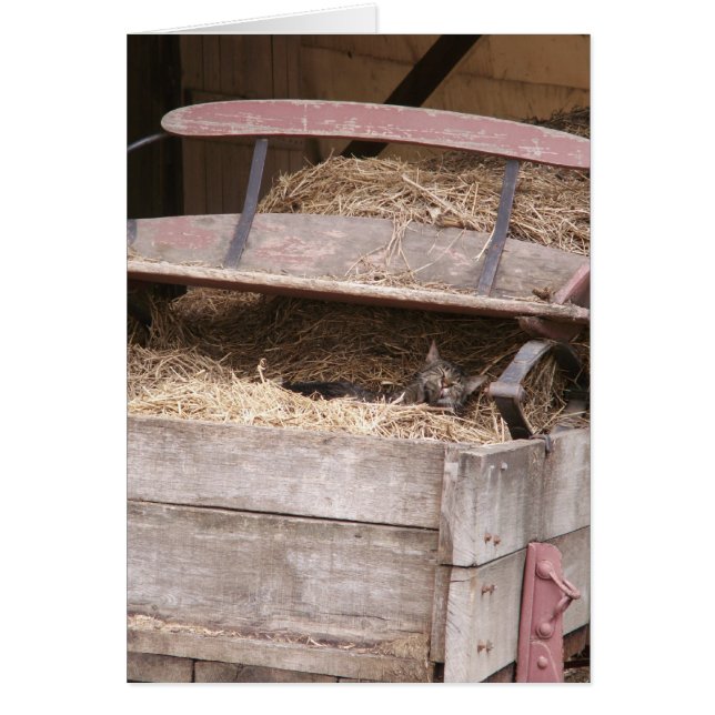 Hay Wagon (Front)