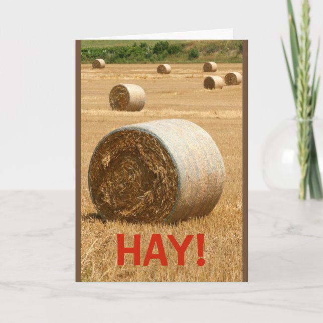 HAY! Would You Be My Valentine? Card (Front)