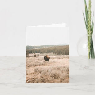 Hayden Valley -- 4" x 5.6" Notecard