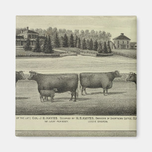 Hayes, Olathe, and Ellis Residence and Farm Magnet