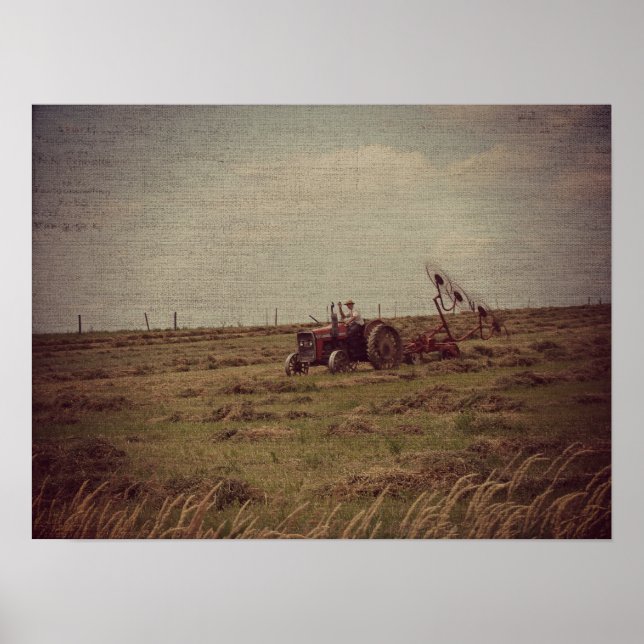 Haying Poster (Front)