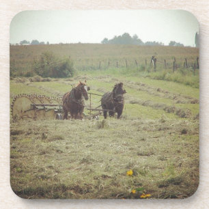 Haying Time Coaster