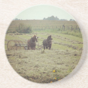 Haying Time Coaster