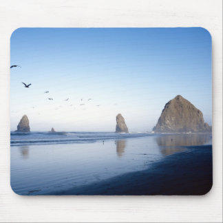 Haystack Rock Mousepad