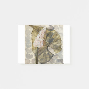 HAZ25 Amazonia 3.tif Post-it Notes