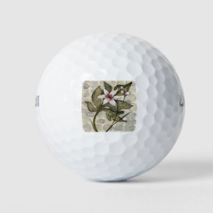 HAZ26 Amazonia 4.tif Golf Balls