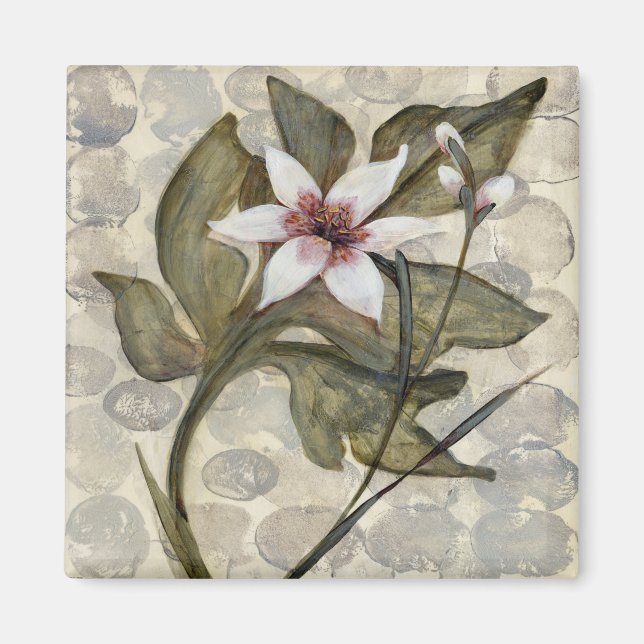 HAZ26 Amazonia 4.tif Magnet (Front)