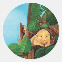 Hazel dormouse eating hazelnut