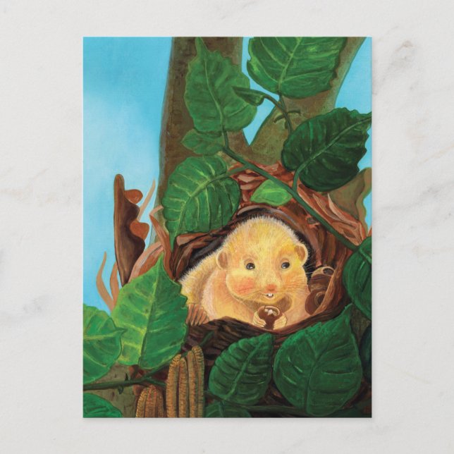 Hazel dormouse eating hazelnut  postcard (Front)