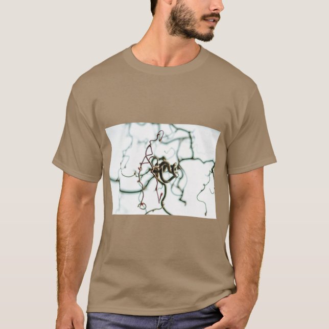 Hazelnut Tree Botanical Art Tee (Front)
