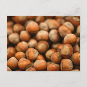 Hazelnuts Galore Postcard