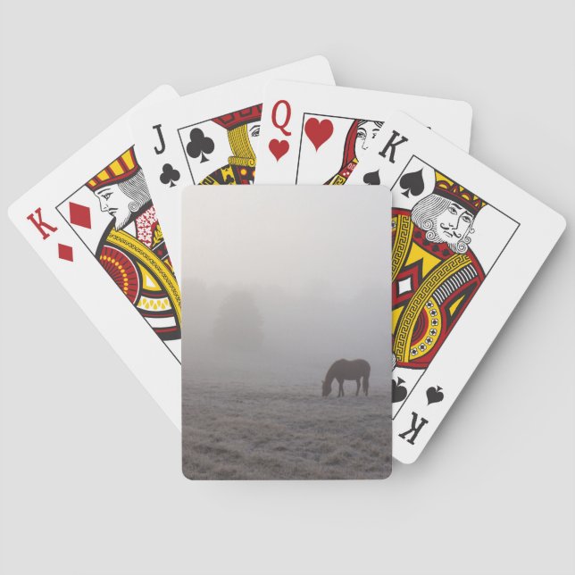 Hazzy Grazing Playing Cards (Back)