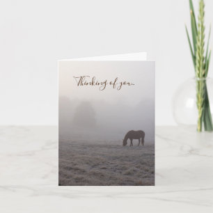 Hazzy Grazing Thinking Of You Card