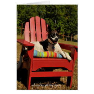 HCD_4301, glorydaysphotography