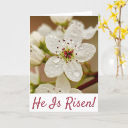 "He Is Risen!" Resurrection Sunday  Card