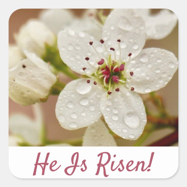 "He Is Risen!" Resurrection Sunday  Square Sticker (Front)