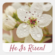 "He Is Risen!" Resurrection Sunday 