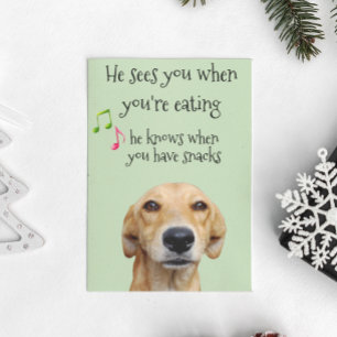 He knows When you Have Snacks Dog Christmas Card