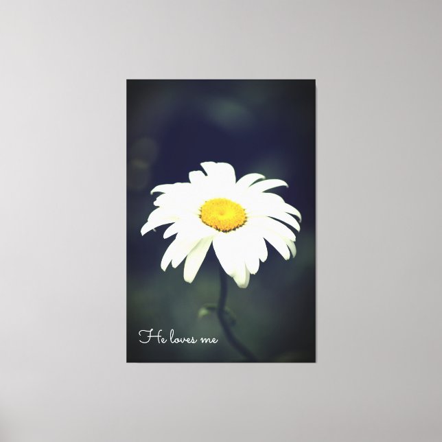 He Loves Me Daisy Canvas Print (Front)