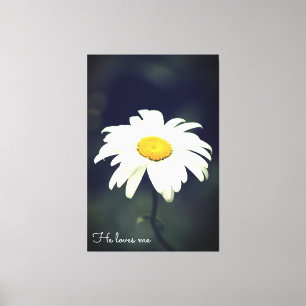 He Loves Me Daisy Canvas Print