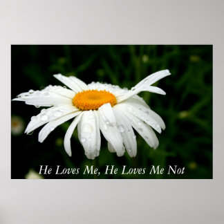 He Loves Me, He Loves Me Not Poster