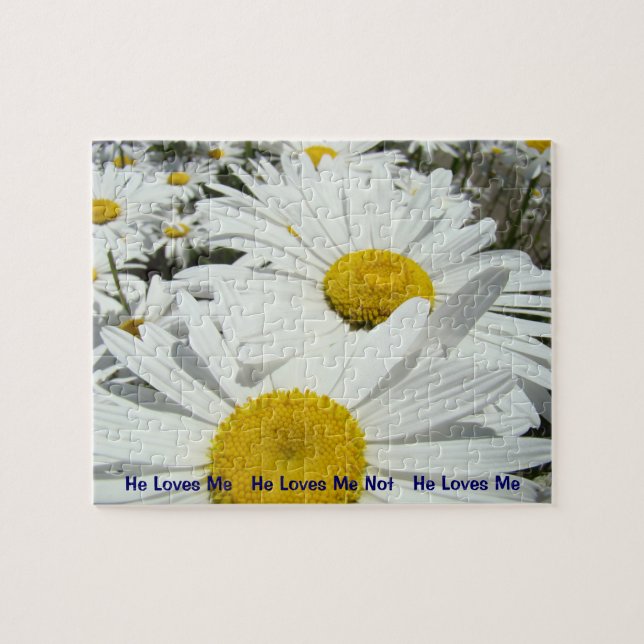 He Loves Me He Loves Me Not puzzle Daisies (Horizontal)