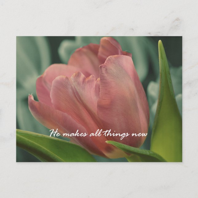 He Makes all Things New Bible Verse Postcard (Front)