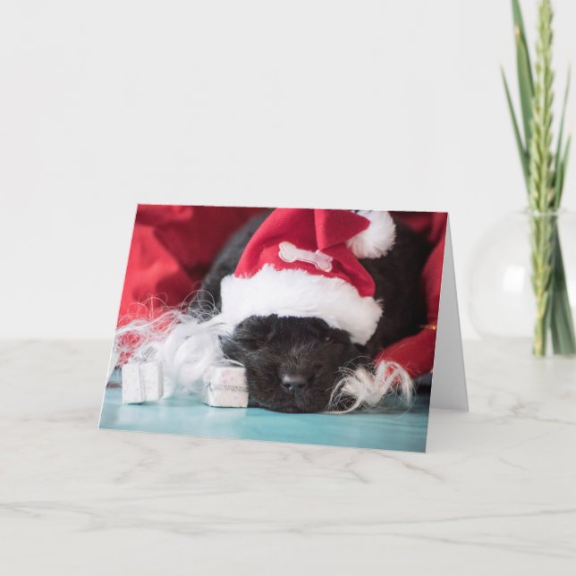 He "nose: if you've been naughty card (Front)