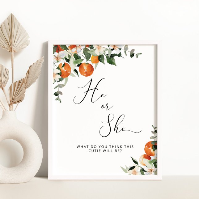 He or She little cutie gender reveal Poster (Creator Uploaded)