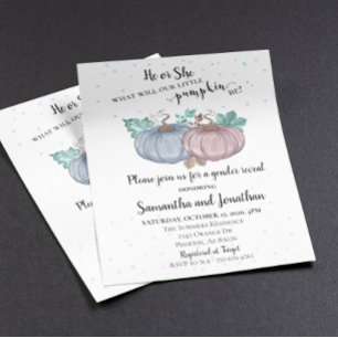He or She Pink Blue Pumpkin Gender Reveal Autumn Flyer