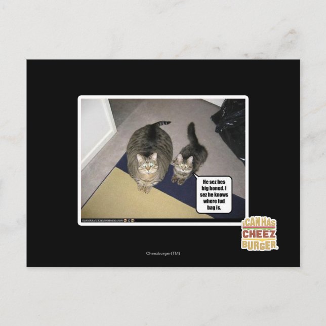 He sez hes big boned. postcard (Front)