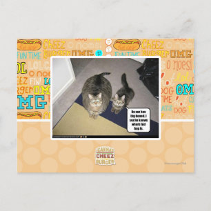 He sez hes big boned. postcard