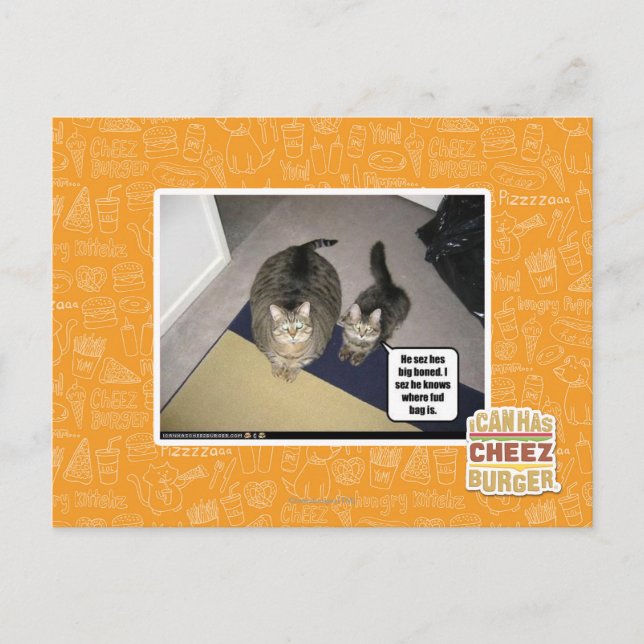 He sez hes big boned. postcard (Front)
