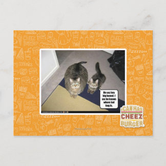 He sez hes big boned. postcard