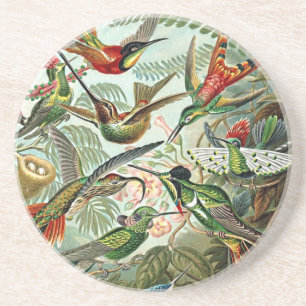 Heackel Nature Art Bird Design Hummingbirds Coaster