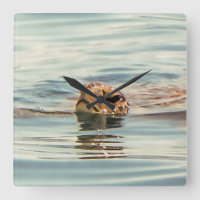 Head Above Water Turtle Ocean Wildlife Art