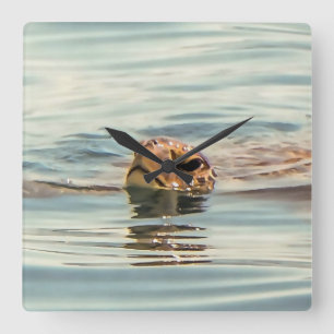 Head Above Water Turtle Ocean Wildlife Art Square Wall Clock