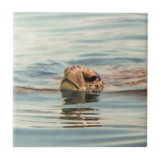 Head Above Water Turtle Ocean Wildlife Art Tile